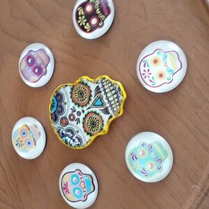 Bundle of 7 Colorful Skull Magnets B214